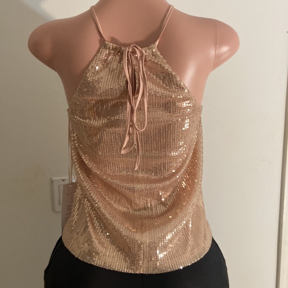 Lumiere Champagne Sequence Sleeveless Neck Tie Top Size Small - Picture 5 of 7